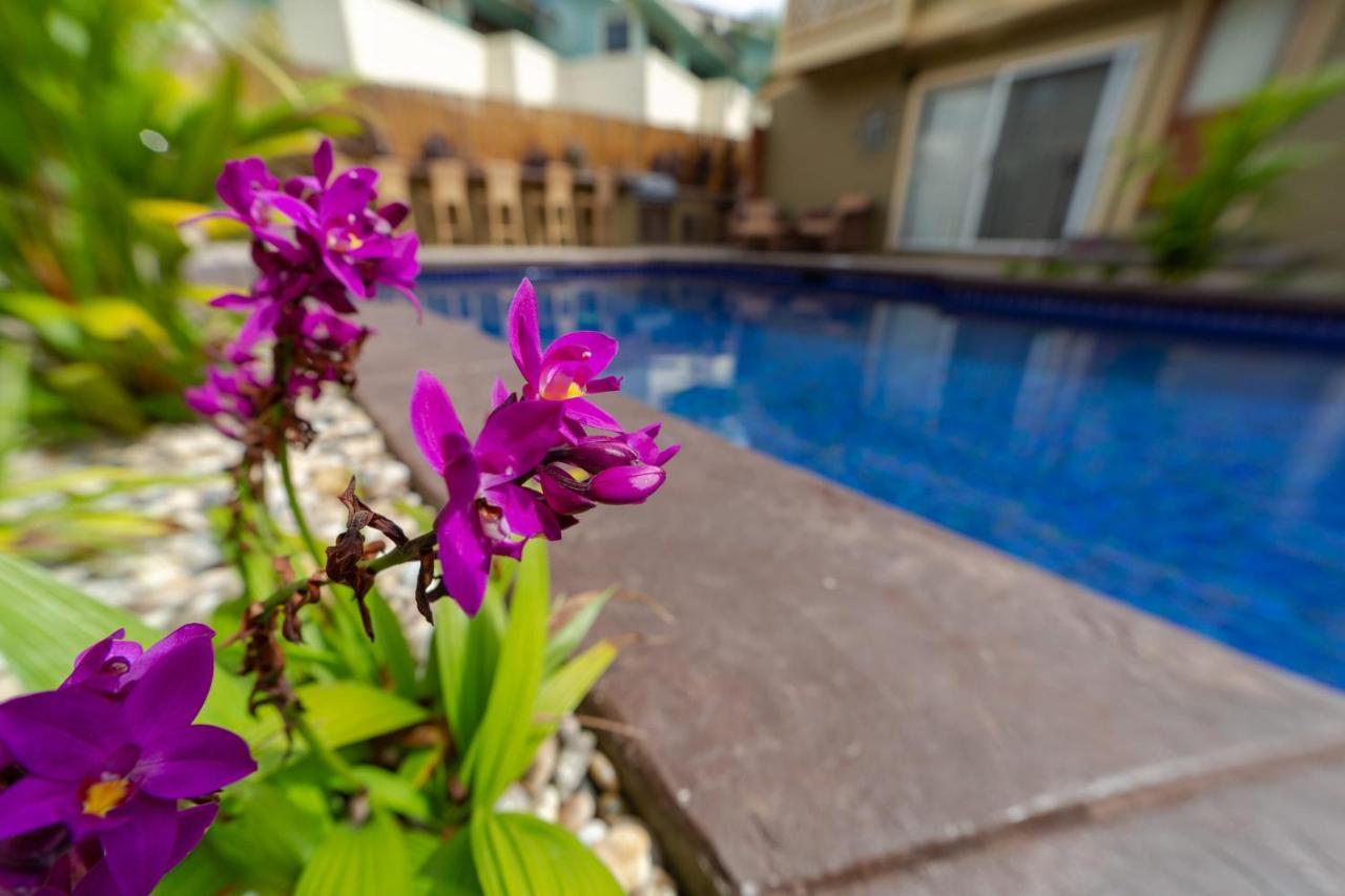 Studio With Mini Kitchen, Pool And Bbq, Pre-Renovation Summer Sale Kihei Exterior foto