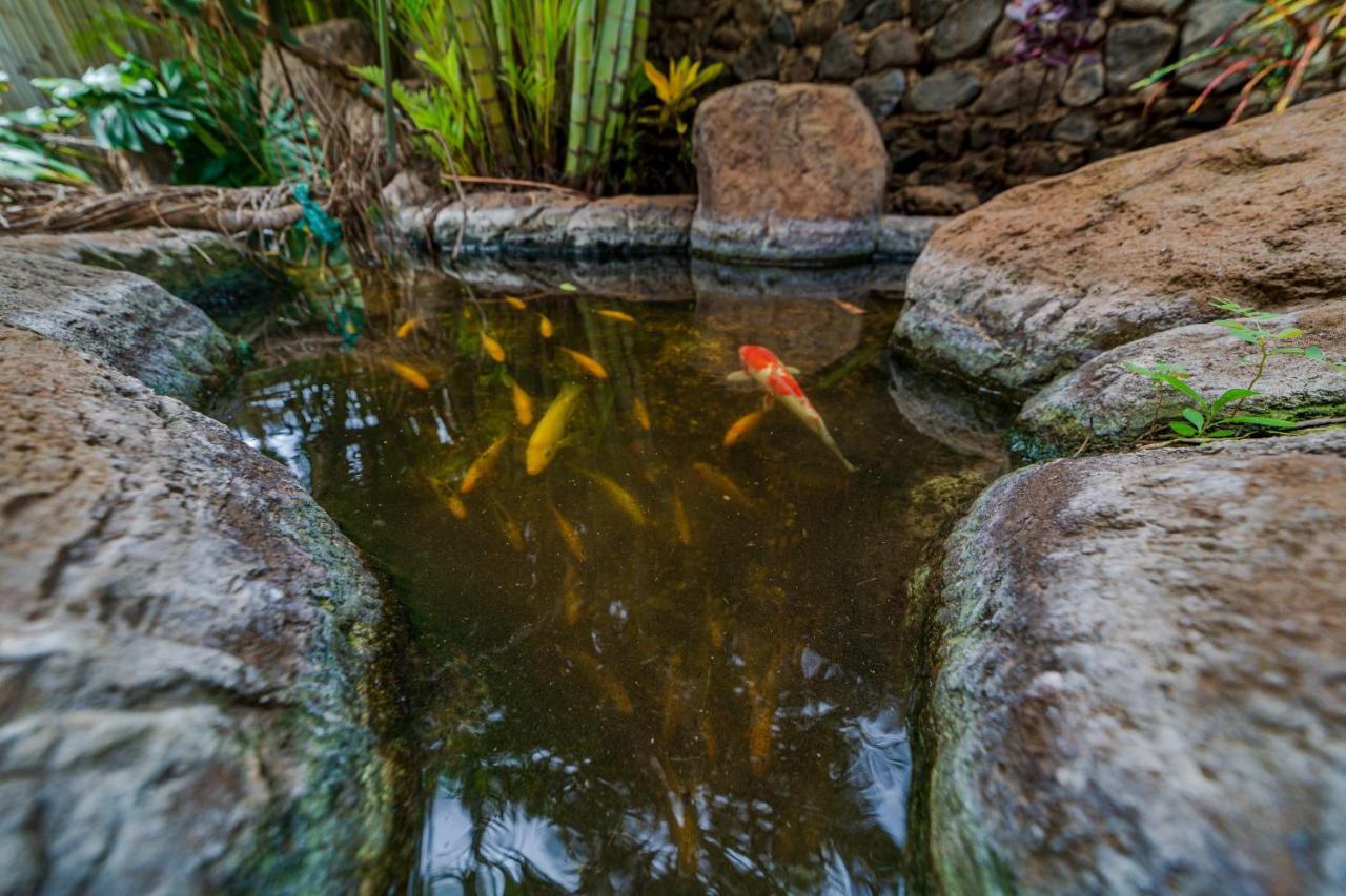 Studio With Mini Kitchen, Pool And Bbq, Pre-Renovation Summer Sale Kihei Exterior foto